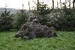 zbior�wkowy kolejny w tym sezonie pa�cio . waga 112 kg or� 19 cm. Dzi�kuje �w. Hubercie . DARZ B�R koledzy !