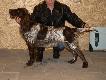 M� ChPL ChPL  IKS vom Hinterbach JP 3Pr, KT Iº, HD-A, ED-0