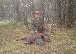 7 i 8 - dziki pozyskane w sezonie 2012/2013 dnia 11.11.2012r o godz. 09:40 w miejscowo�ci W�lka D�browicka obw. 346, waga - 28 i 28kg