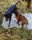 Ob�j i "irytuj�cy" malec ;)