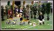 NEFRA Hubertowka znad Parsety (Archie Keiviento x Fiona Kajminia) - jej pierwsza wystawa i BIS SZCZENIAT III :) 