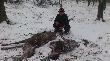Popo�udniowy podch�d. Chmara spotkana na dr�gowinie bukowej o 15 20. Na rozk�adzioe �ania i cielak. Gratuluje brat..!