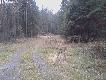 Przyroda
