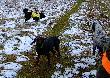 kolejny weekend i za� �owy ,tym razem ju� ze �niegiem w tle :)