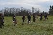 troch� agresywny , tyle tych ps�w by�o....