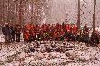..........pierwszy pokot ,po bia�ej  stopie' sezonu 2012/2013 Dedykowany Kopovce CARIN z HRINOVEJ
DB gawronn,Marucha i Marek Lipowicz,....Kol.Hubercie dzi�kuje za tak wspaniale uj�cie,
 