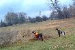st�jka do ba�anta w towarzystwie p�siostry Inter.ch pracy HEDER Moon Eyes