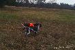 st�jka do ba�anta w towarzystwie p�siostry Inter.ch pracy HEDER Moon Eyes