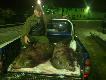 to dla tych niedowiark�w  niestety te s� mniejsze 54 i 66 kg ale z jadnej zasiadkina tej ambonie