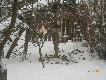 Dokarmianie drobniejszego pi�ra, wrzaski od samego rana poprzez caly dzien :).