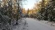 Zima 2012... Linia my�liwych.