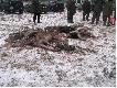 Zdjecia z polowa zbiorowych
Pokot- 2anie 2 dziki
 w tym jeden aciaty 2 lisy