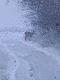 Wracaj�c ze zbior�wki spotka�em j� pod domem