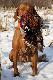 -7 stopni, s�o�ce, co� pi�knego