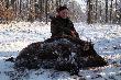 135 kg !!!  Gratulacje Kol. Piotrku pi�knego ody�ca i do�� trudnego strza�u - strza� za lini� - trafiony za ucho, a dzik sadzi� jak lokomotywa  pod pe�n� par�. 