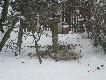 Te �rutuja, a dwie takie same ekipy czekaja na gorze i na zmiane. Jak ktos chce to moge odstapic pakiet, bo jak nie to bede musial za pasza sie rozejrzec:).