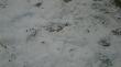 14.12.12 a to nagroda za dostawy do sto��wek:)