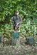 INTCH NEMO z Kr�liczego Do�ka - NAJLEPSZY NOROWIEC 2012 r. z cyklu BIESIAD... patronat BRA� �OWIECKA