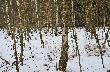 Ci�g dalszy spaceru jest owocny...