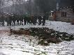 15.12.2012 Zako�czenie i pokot po polowaniu zbiorowym w K� "Trop". Pokot 1 byk 9 dzik�w 1 koza 4 lisy. Dzi�kuj� za zaproszenie na tak wspania�e polowanie, bardzo dobr� organizacj� i kole�e�sk� atmosfer�. Darz B�r. 