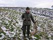 16.12.2012 Zn�w Huber darzy�, pierwszy szarak. Oj by� chrzest. Podzi�kowania dla sygnalist�w za opraw� "muzyczn�" ca�ego polowania i mojego chrztu. Dzi�kuj� �w.Hubercie.  