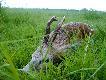 jesie�, zima...niby fajnie ale mog�aby ju� by� wiosna....