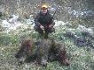 22.12.2012. Tradycyjne polowanie wigilijne. Ostatni, 7 miot, stanowisko nr 4 na przesmyku pomi�dzy stawami. Drugi w sezonie i drugi w �yciu tryplet. Weso�ych Swi�t ! DB !
