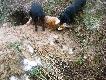 A mia� to by� tylko spacer :-)
DB