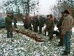 Tu� przed Wigili� , 2 zaj�ce 37 kogut�w (  m�j wk�ad 5 ba�ant�w)
