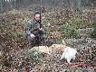 Dzisiejsze norowanie z MISI
MISIA (MISS Obornicki Nornik) Jack Russell Terrier - jest  bardzo cita na lisy