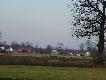 Godzina 11.37 , a jelenie prawdopodobnie sp�oszone przez zul-owc�w maszeruj� przez pole. Ucieszy�em si� jak dziecko gdy zobaczy�em �e nie ma z nimi byka... ma�o takich chmar u nas teraz... zdecydowanie wi�cej byk�w.