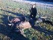 dzisiejszy pokot - 2 p�dzenia ( moje byczki i dzik ) Dzi�kuje �w. Hubercie 