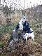 Warchlaczek 30kg, strzelony o 23 .zg�oszony przez Bodziaka  oko�o 14 ,kolega odda� strza� �aski 