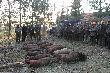 Pokot. 13 dzik�w i lis.Na zako�czenie dojecha� kol. Janusz prezes Ko�a, podsumowa� polowanie i �yczy� wszystkim my�liwym pomy�lno�ci w nowym roku. 