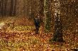 polowanie z 18.11.2012 