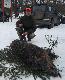 23.12.2012 - P�ki co Najwi�kszy w karierze �owieckiej :)