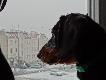 A przed chwil� umy�em szyby...