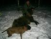 No to to ju� przesada ;) To dalszy ci�g pierwszego w �yciu my�liwskim indywidualnego polowania Andrzeja! Forest mia� s�aby dzie�. Sami musieli�my sobie radzi�. Grudzie� 2012. Gratulacje Andrzeju!