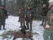 Dziczek strzelony przez mojego ojca a zatrzymany poza miotem przez G.P.Fig� mojego brata