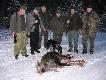 09.01.2013. Dzisiejszy szybki wypad do �owiska, brat otropi� dziki, szybka decyzja, kilka telefon�w i ju� jeste�my w lesie. Ja wchodz� do miotu z Fig�, nachodzimy dziki po tropie w bar�ogu..6szt. Sk�adam si� do strza�u, ale locha zas�ania reszt� wi�c odpuszczam, za to Figa mia�a to co "niedzwiadki lubi� najbardziej" No i si� zacz�o...dziki "rozrzucone" kilka szybkich strza��w...i  Figa g�osi poza miotem, trzyma, dzika kol. Leszek dochodzi i skraca cierpienie dzika. Wcze�niej strzeli� na mi�kkie. Zn�w jestem zadowolony z pracy mojej suni :) Oby tak dalej si� nam wiod�o.
Darz B�r.    