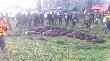 Pokot