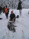 Dzisiejsze polowanie i powt�rka mojego taty z przed tygodnia