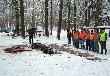 13.01.2013. Ciche p�dzenie . �ania ,cielak,4 dziki ,9 k�z  1 lis . 