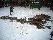 �w Hubert darzy� 