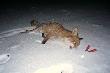 14.01.2013 To by�o nasze trzecie spotkanie..