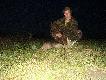 18.10.12 strzeli�em sarne koz� wyj�t� z rudla 14 sztuk Darz B�r