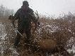  Ten sam byk(16.01.2013) .Trzyma go m�j ojciec , my�kus na prawej tyce 12-stak , prawa tylko korona 3 odnogi . Powodem deformacji by�o uszkodzenie stawu biodrowego w  tylnym lewym badylu. 6-7 g�owa waga 130 kg obw. 98 (Ojciec dzi�ki za pomoc ;) ). DB.