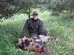 Przyjaciel Tomek G. pozyska� rogacza a ja w drodze po samochodu dorzuci�em dzika...