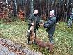   Lis pozyskany w pierwszym miocie.