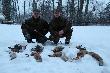 Wreszcie uda�o si� nam wyskoczy� na stogi. Trzy lisy strzeli� Mauser78, jeden m�j.
Darz B�r!